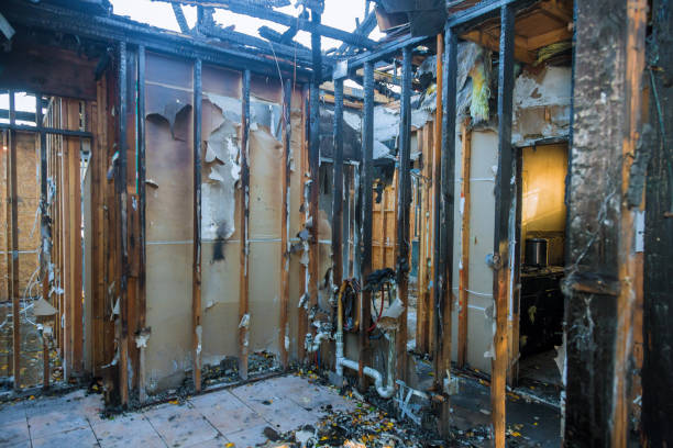 Professional Structural Rebuild technician working in Rockville, MN